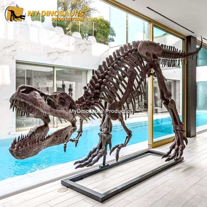 DS-0136 6.3米霸王龙化石骨架高级餐厅装饰