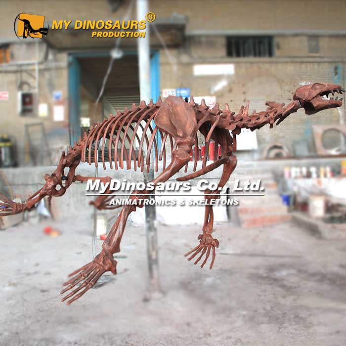 AS-082 中新世异索兽骨架悬挂化石模型