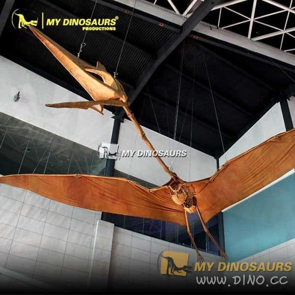DS-117 出售仿真原始出尺寸风神翼龙化石模型