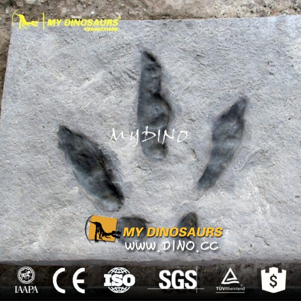DS-095博物馆恐龙复制品脚印化石板