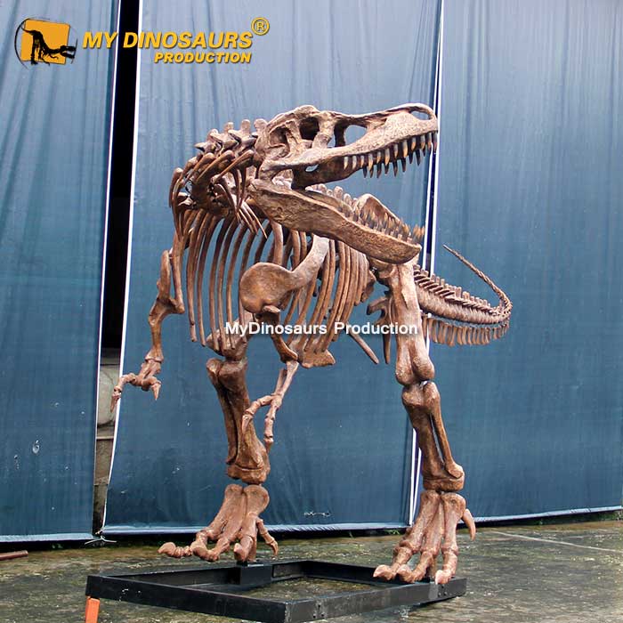 DS-0131 热销定制高端餐厅霸王龙化石骨架模型
