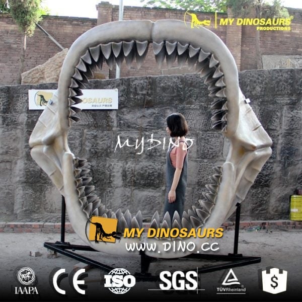 AS-002博物馆仿真展品动物骨骼-巨齿鲨下颌