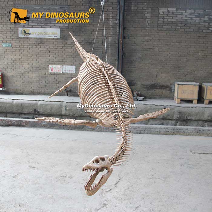 DS-211 悬挂装饰蛇颈龙化石骨架装饰