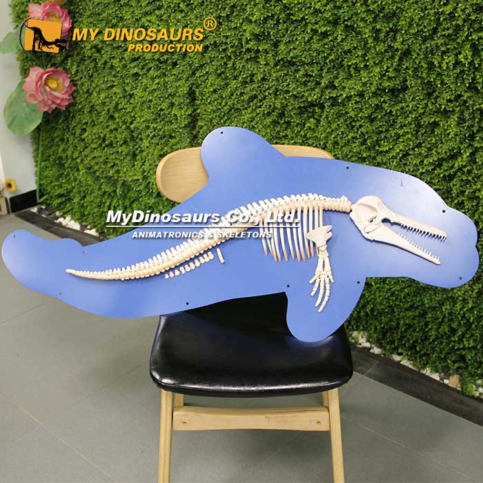 AS-110 玻璃钢材料定制海豚骨架骨骼化石 带背景板定制创意拟真还原模型
