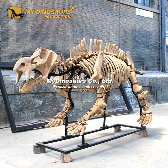 AS-150 龙晨时代仿真动物骨架—肯氏兽玻璃钢骨架