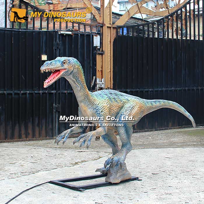 AD-284 电动仿真巧鳄龙恐龙模型恐龙机模