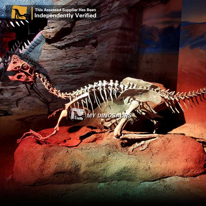 Oviraptor-Skeleton
