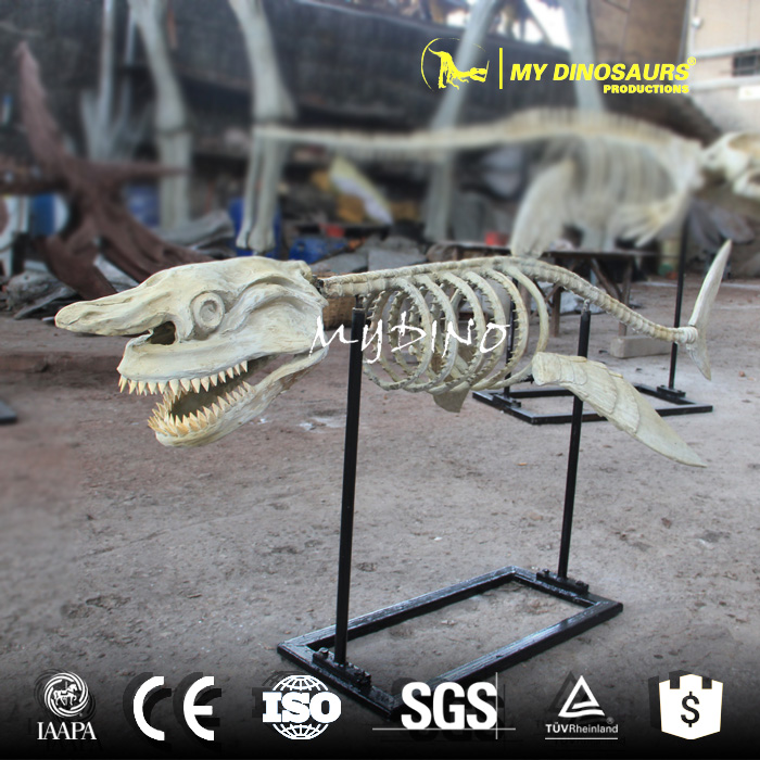 AS-053  海洋生物鲨鱼化石骨架玻璃钢定制