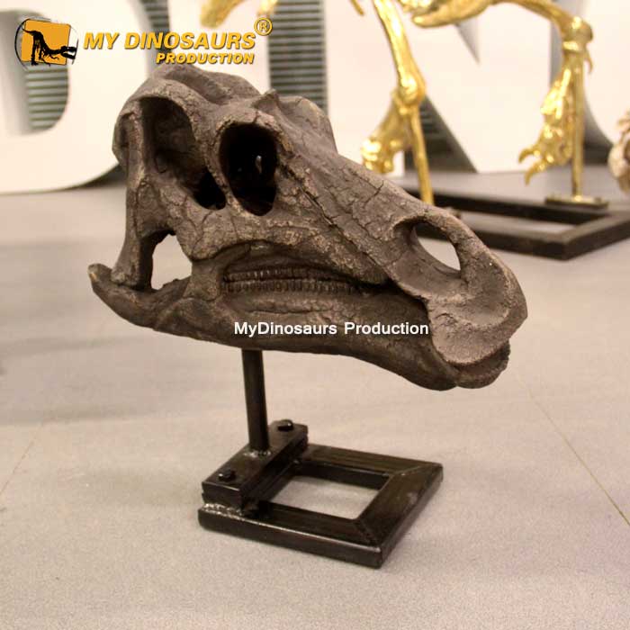 DS-0186 慈母龙还原装饰化石骨架