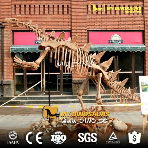 DS-034 户外展览可动仿真恐龙骨架-剑龙化石骨骼