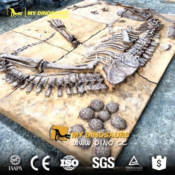 DS-070仿真恐龙化石板、化石墙