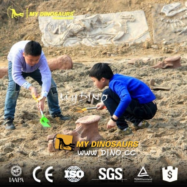 DS-107有吸引力的教育活动挖掘恐龙化石