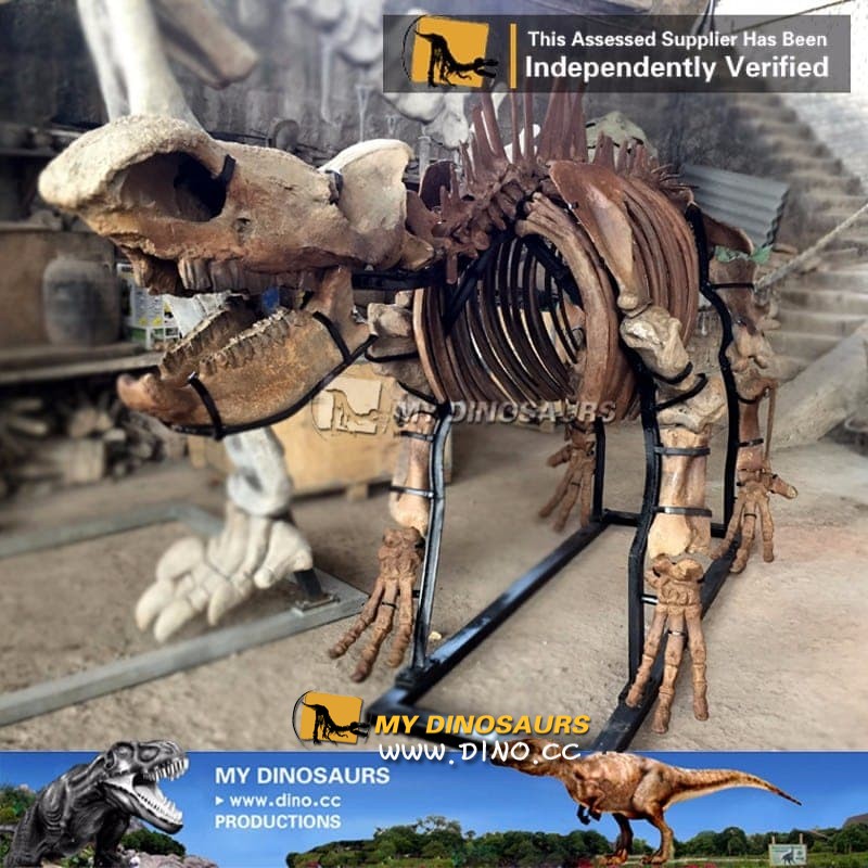 AS-020科技馆动物骨架展示仿真动物骨架-犀牛骨架