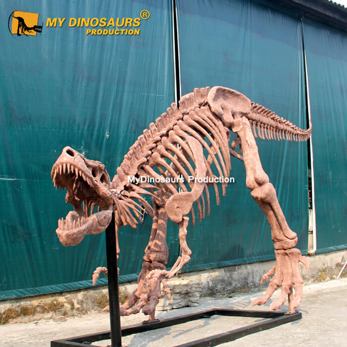 DS-0128 博物馆霸王龙化石骨架定制还原仿制品