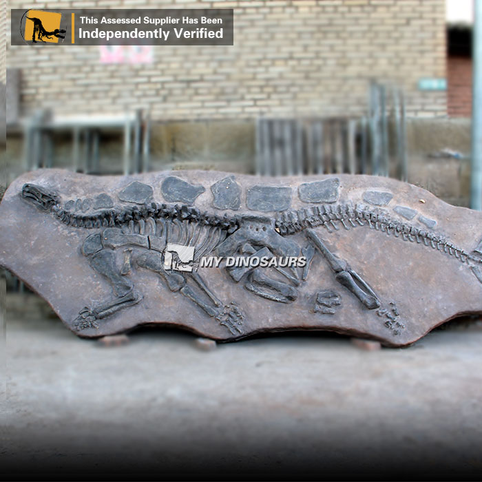 DS-0165  侏罗纪公园剑龙骨骼化石板