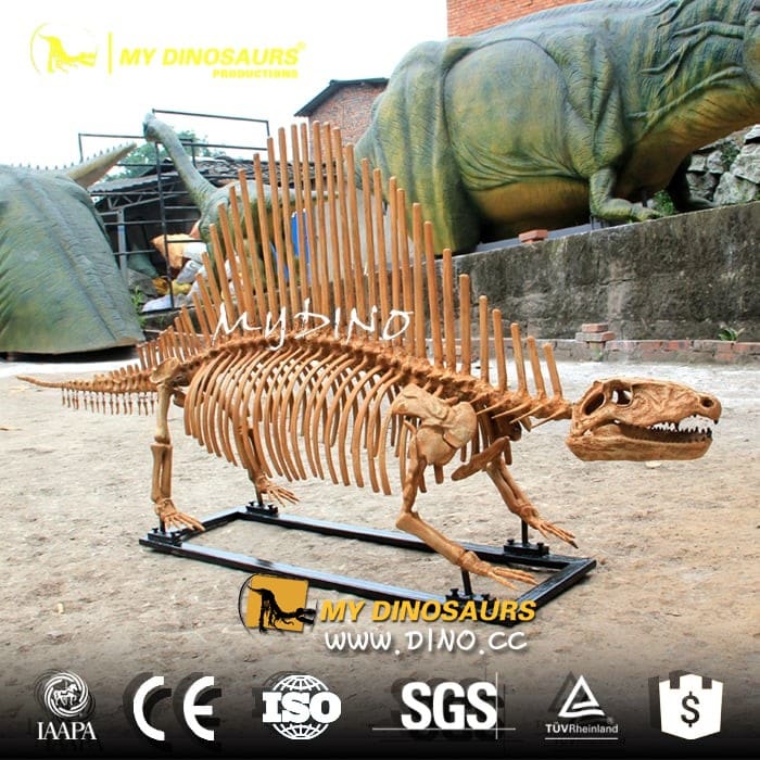 DS-057仿真恐龙复制品模型——异齿兽
