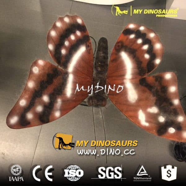 AI-048 昆虫世界展览巨型昆虫-蝴蝶模型