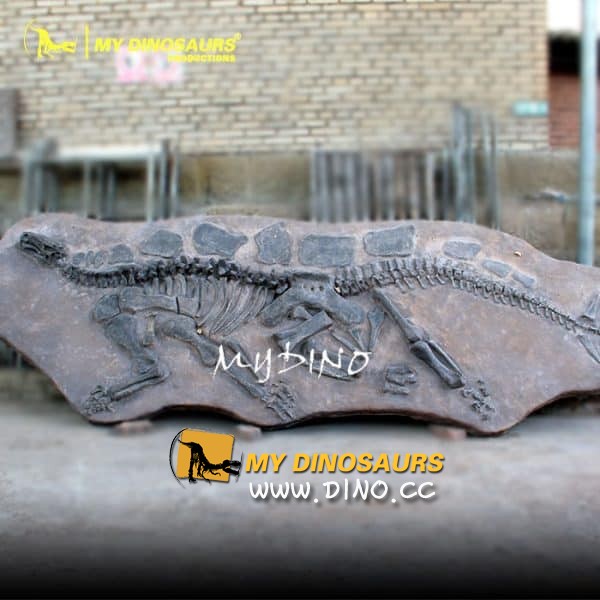 DS-086原始大小剑龙骨架恐龙化石墙出售