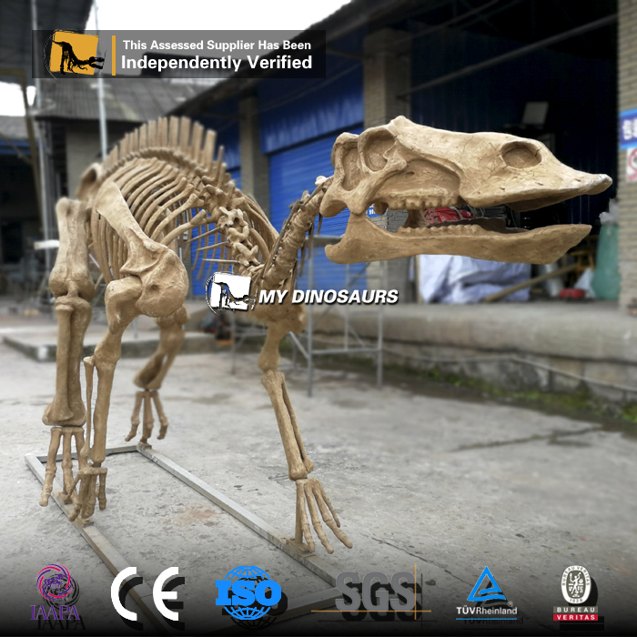 DS-0193  史前动物鸭嘴龙化石骨架模型