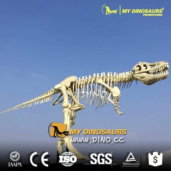 DS-068独家创新制作-夜光恐龙模型
