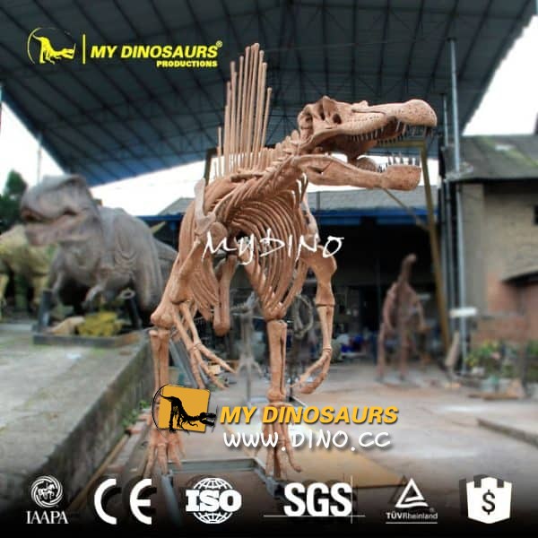 DS-073侏罗纪恐龙世界棘龙骨架模型
