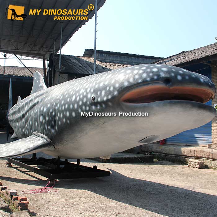 AA-055 水族馆装饰真实大小的动物鲸鲨