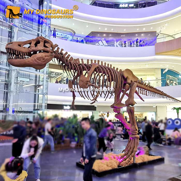 DS-0132 大型商场主题乐园霸王龙一比一还原化石骨架