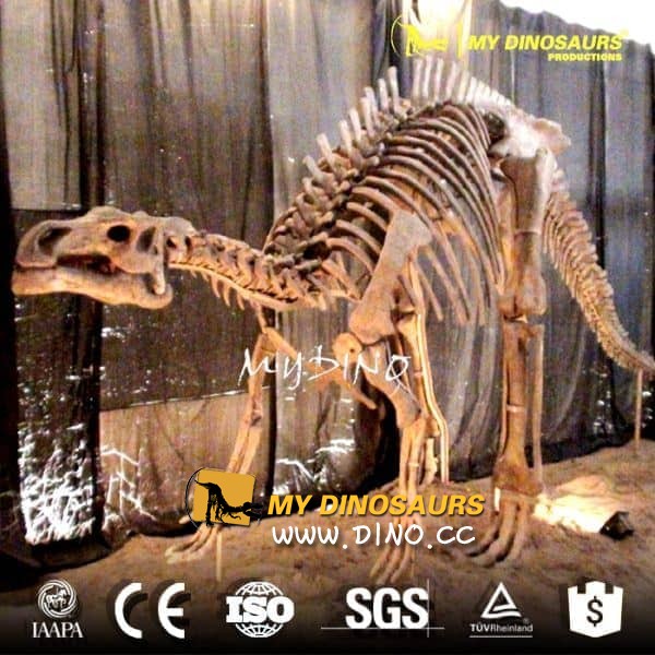 DS-094博物馆展览恐龙禽龙骨架模型