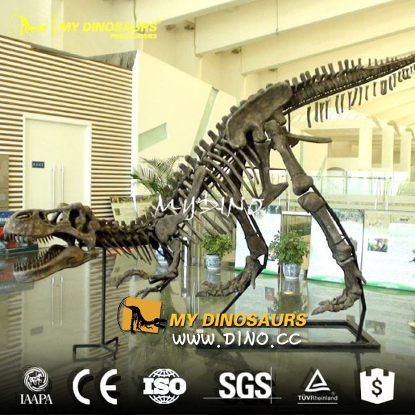 DS-046逼真的玻璃钢仿真机械恐龙化石骨架
