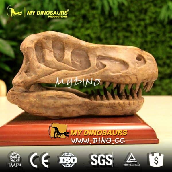 DS-108仿真史前动物恐龙标本速龙化石