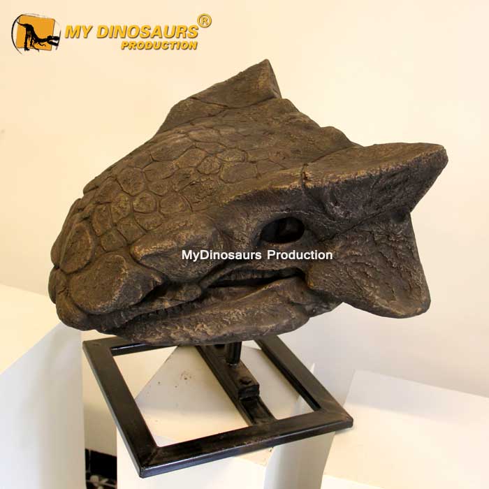 DS-0154 甲龙化石骨架头骨定制模型