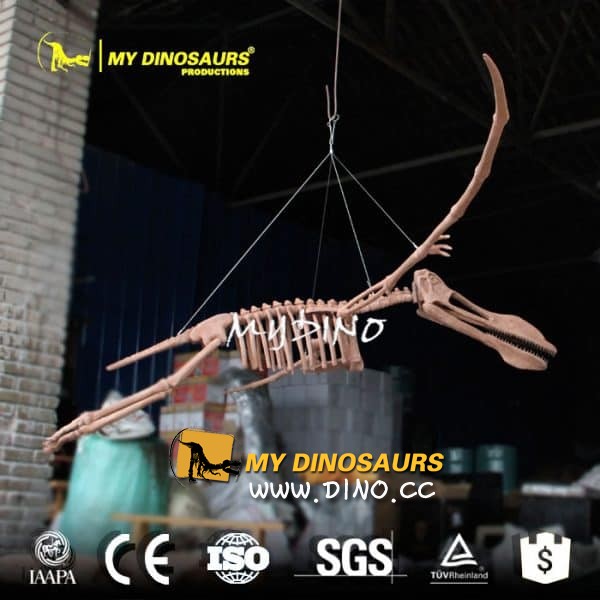 DS-075 恐龙博物馆悬挂翼龙骨架-无齿翼龙化石