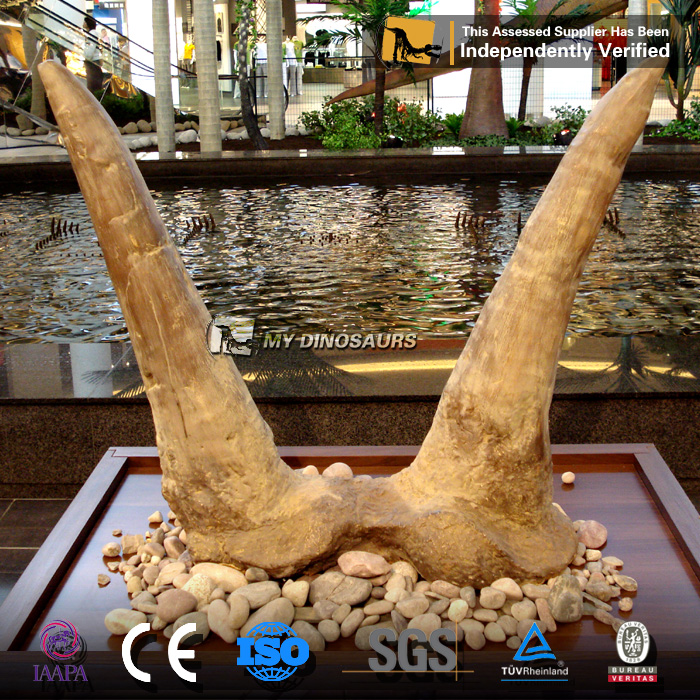 DS-0157 三角龙头骨角模型化石骨架装饰