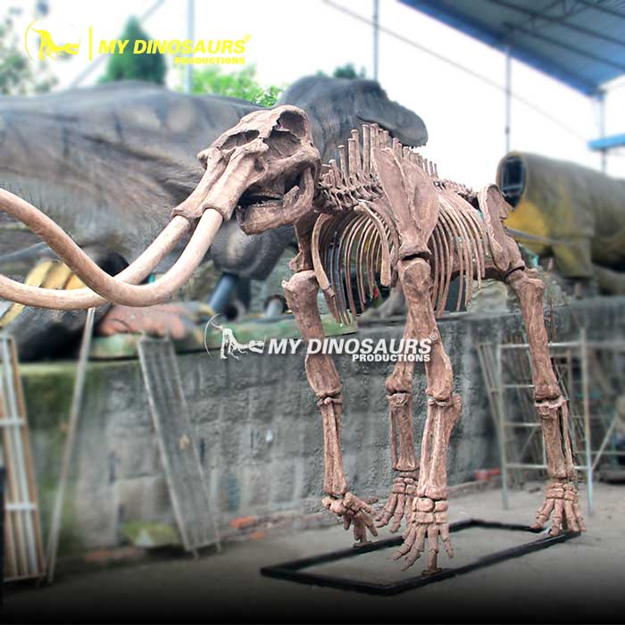 AS-087  电影演出道具猛犸象骨架化石模型