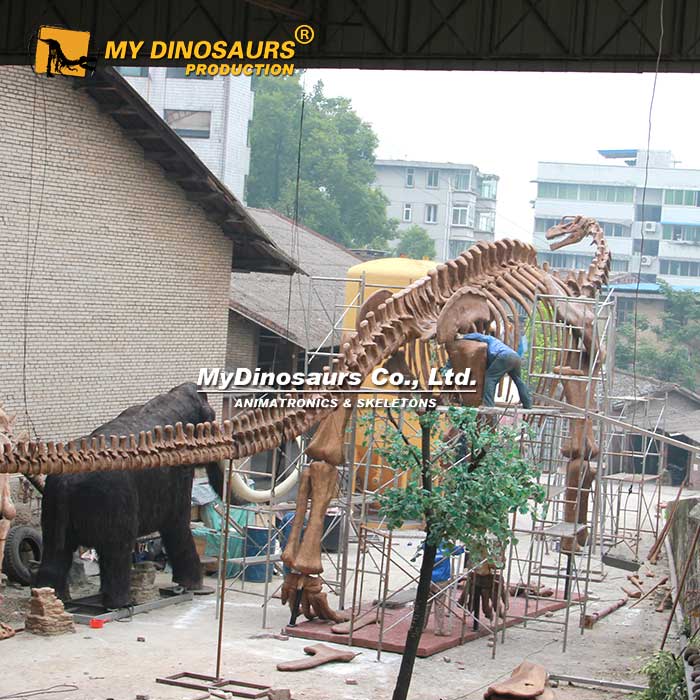 DS-209 阿根廷拉巨型玻璃钢化石骨架恐龙模型