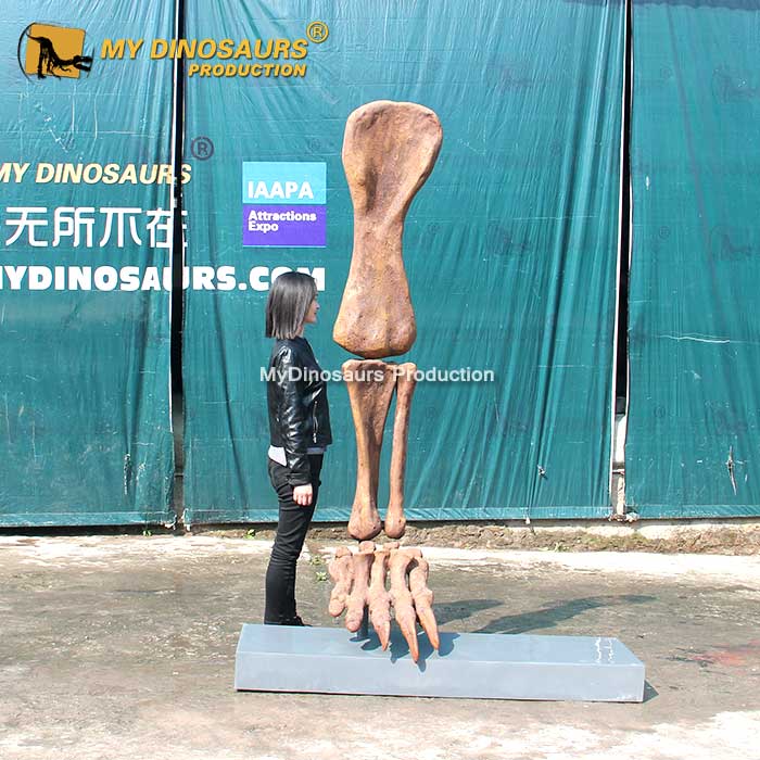 DS-0155  博物馆主题公园马门溪龙仿真化石骨架