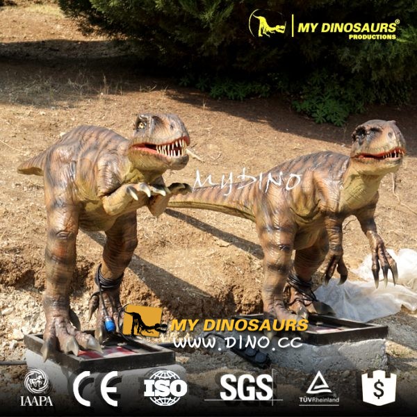 AD-009恐龙主题公园设备硅胶恐龙模型定做-迅猛龙