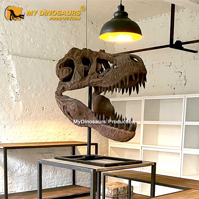 DS-0138 创意还原恐龙公园霸王龙化石头骨骨架