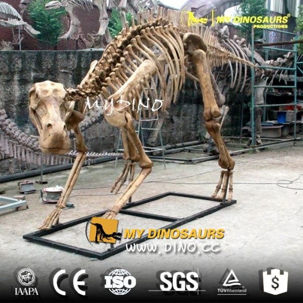 DS-012 考古挖掘仿真恐龙化石-仿真慈母龙骨架