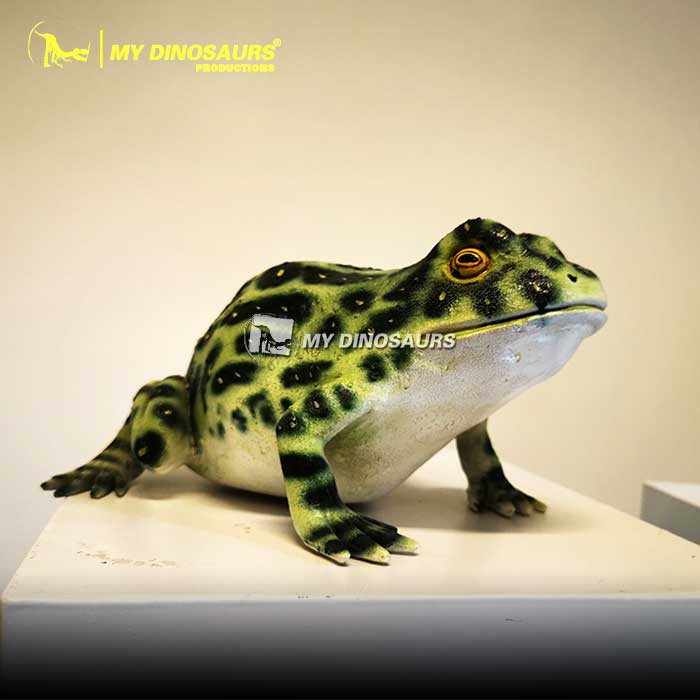 BL-023 玻璃纤维青蛙模型