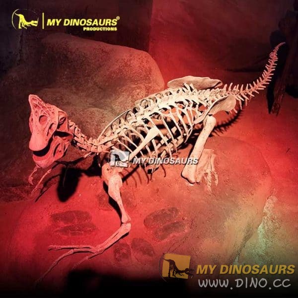 DS-118 出售恐龙化石-窃蛋龙骨骼模型