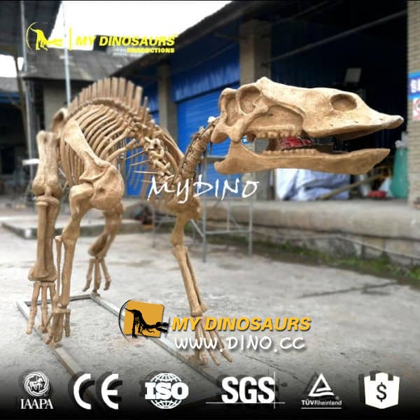 DS-076 恐龙公园装饰品慈母龙骨架模型