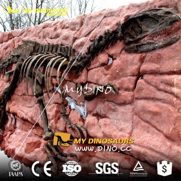 DS-001博物馆复制品恐龙化石仿真恐龙骨架
