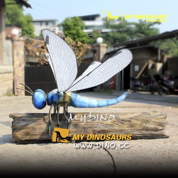 AI-049 极限昆虫展览吸引眼球巨型蜻蜓 