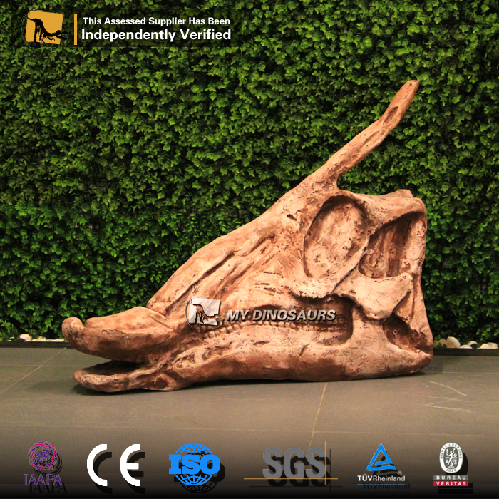 DS-0192  鸭嘴龙头骨头部化石骨架模型