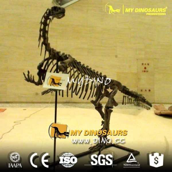 DS-035博物馆复制品仿真恐龙化石骨架-禄丰龙化石骨架