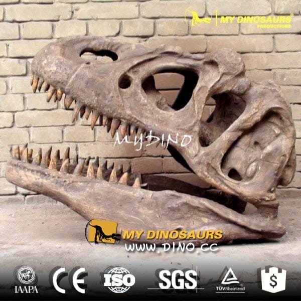 DS-018 恐龙电影宣传道具-仿真霸王龙头骨