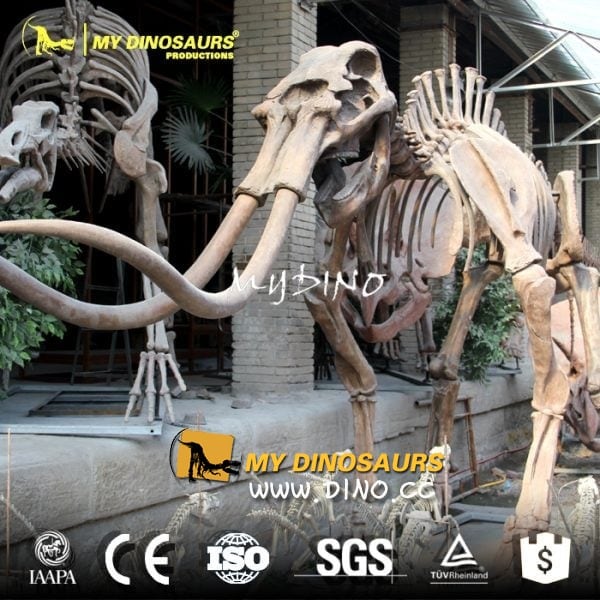 AS-012考古挖掘仿真动物骨架出售-仿真大象骨架