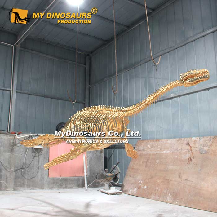 DS-220 定制拼装高端镀金蛇颈龙化石骨架摆件