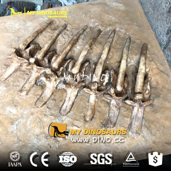 仿真恐龙化石的功能